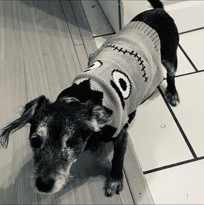 Meet your Posher, Tahlia